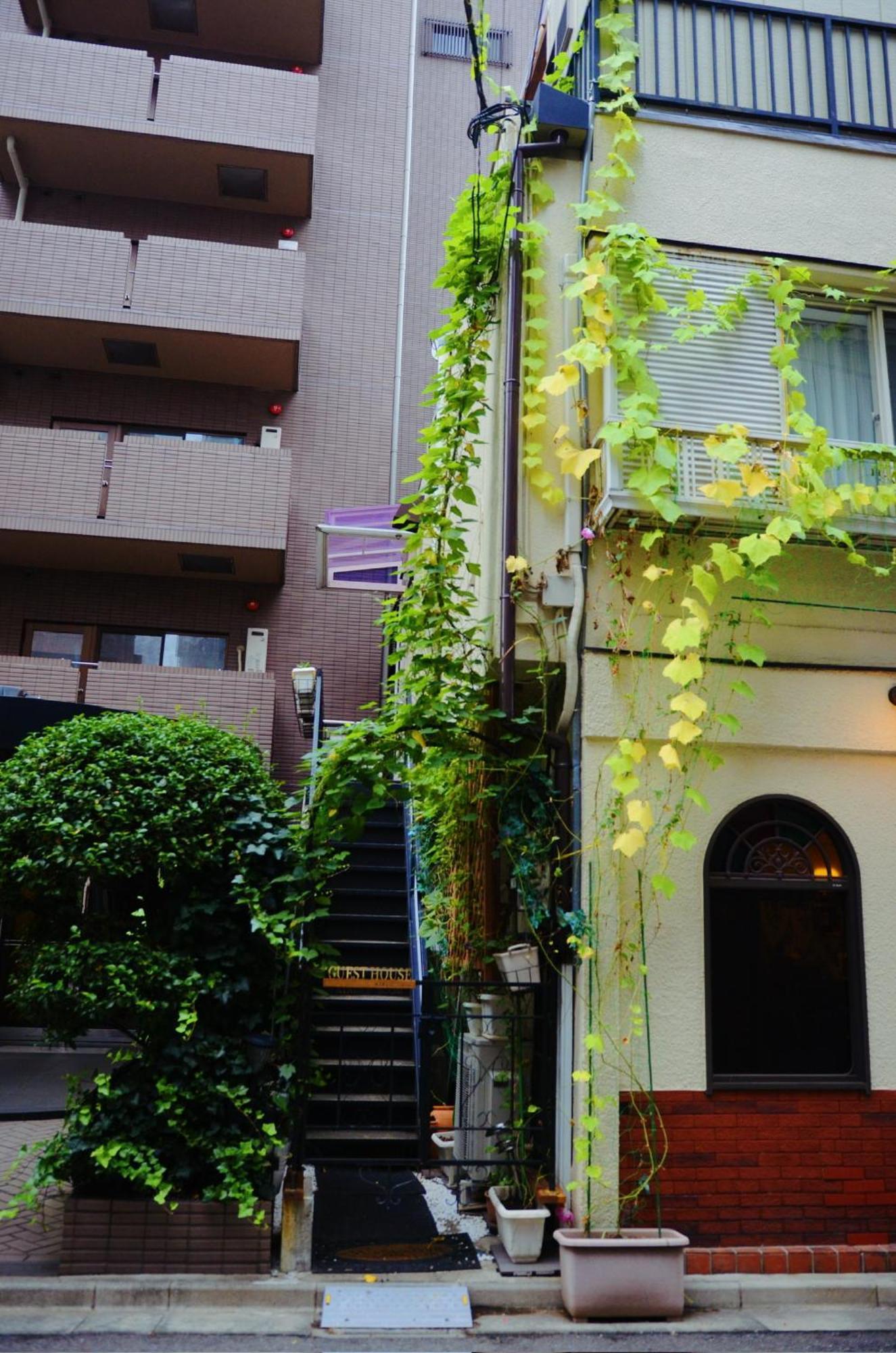 Ayaka's House Appartement *